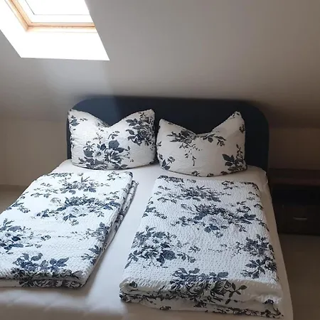 Apartment Nikola Soko Banja